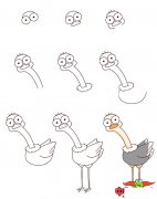 鸵鸟怎么画简笔画图片，鸵鸟简笔画步骤