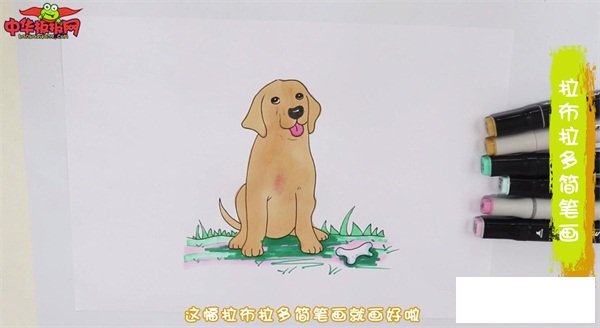 拉布拉多简笔画