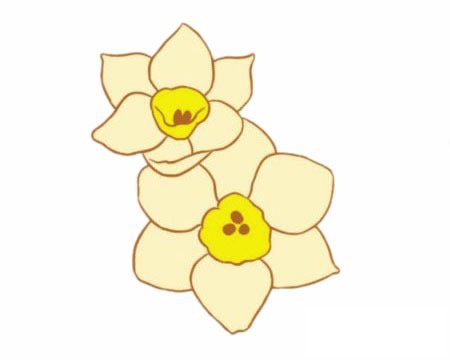 水仙花简笔画图片