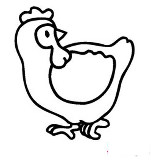儿童简笔画:鸡