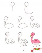 火烈鸟怎么画简笔画，火烈鸟简笔画步骤