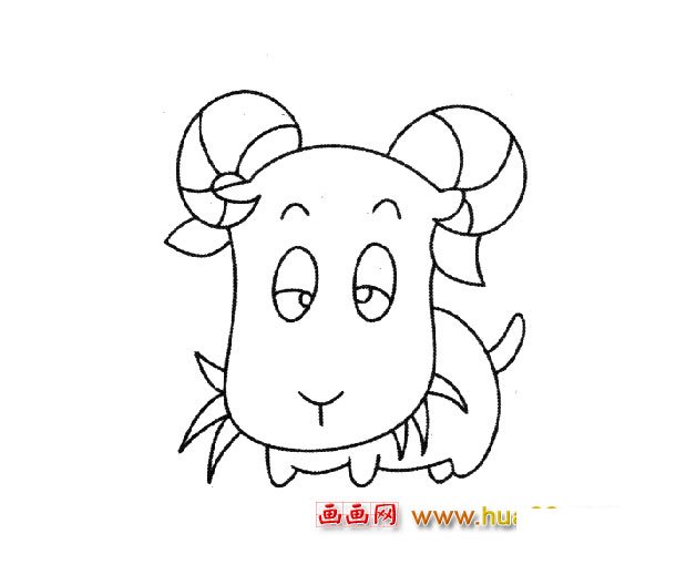 简笔画：一只可爱的小羊