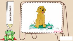 拉布拉多简笔画