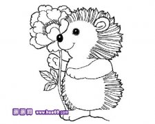 可爱小刺猬简笔画1