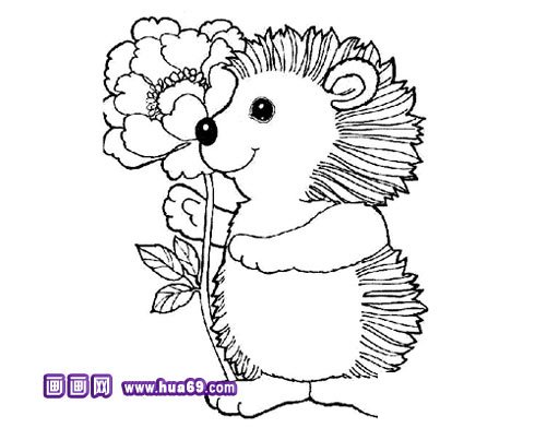 可爱小刺猬简笔画1