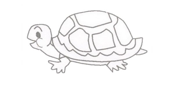 乌龟简笔画图片