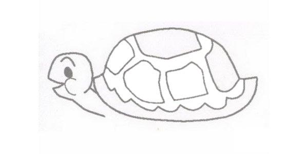 乌龟简笔画图片
