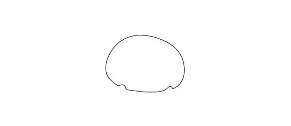 卡通乌龟简笔画图片