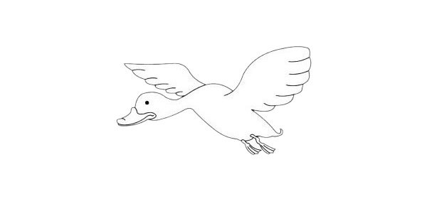 大白鹅简笔画图片