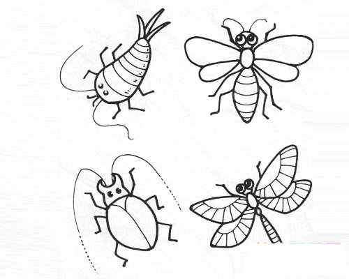 各种小昆虫简笔画