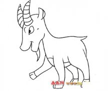 好斗的山羊_动物简笔画