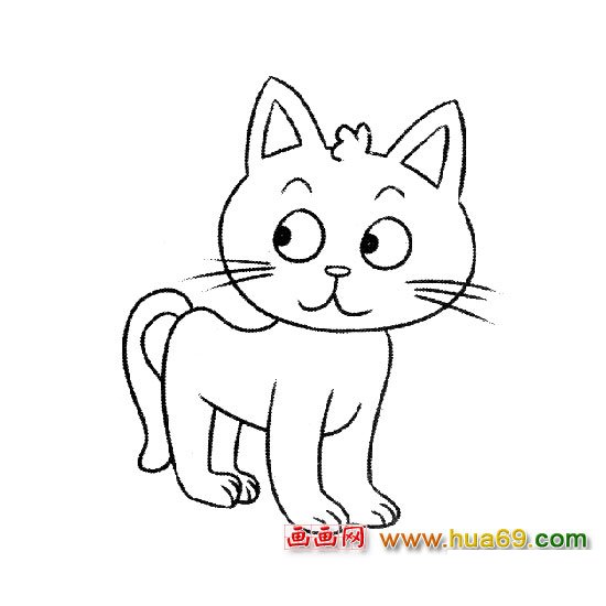简笔画│乖巧的小猫3