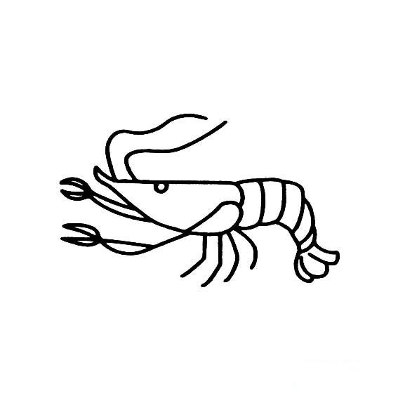 小虾的简笔画法