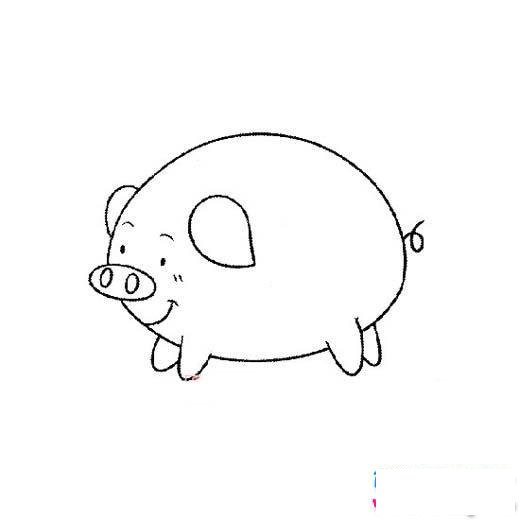 可爱的小肥猪简笔画