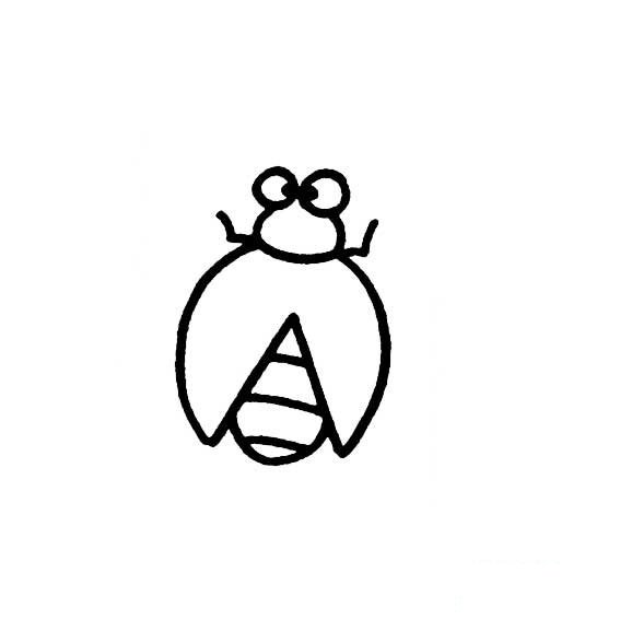 昆虫的画法画一只甲虫