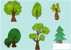 六种大树简笔画画法步骤教程彩色简单