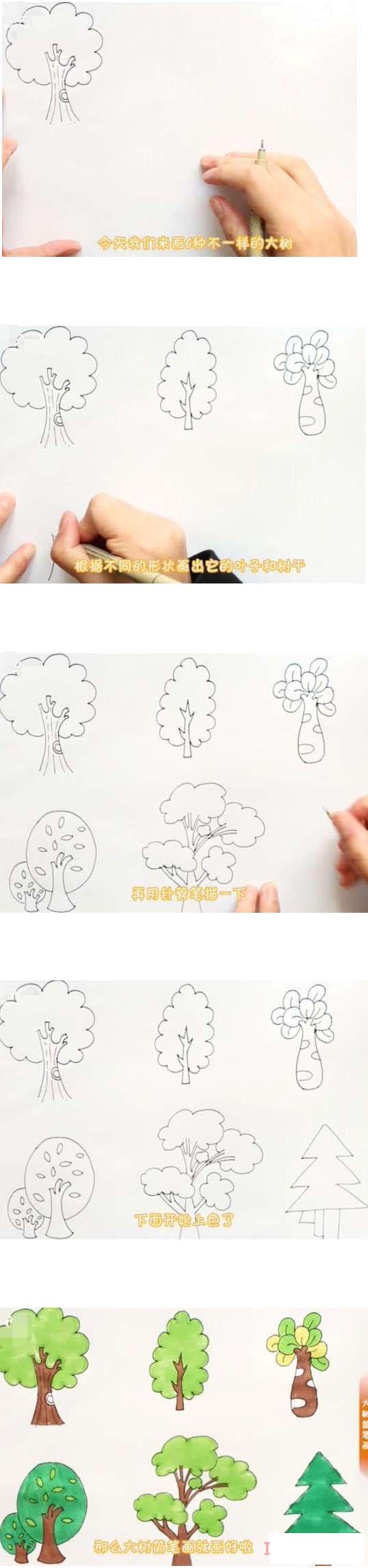 六种大树简笔画画法步骤教程彩色简单