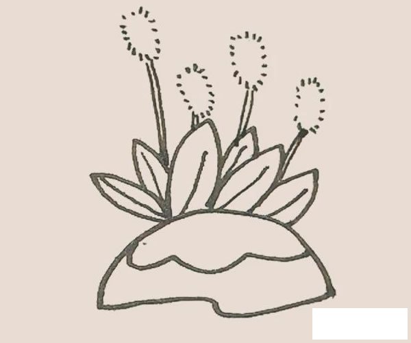狗尾巴草简笔画图片