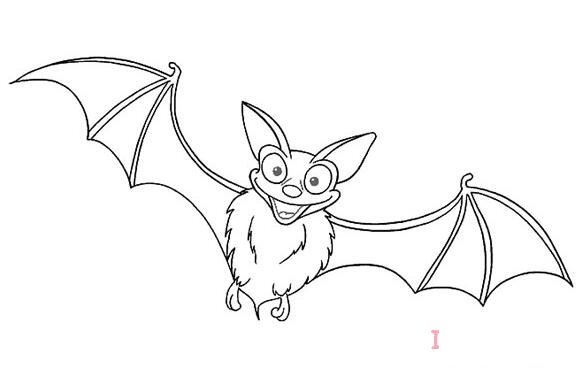 蝙蝠怎么画多彩易学_蝙蝠简笔画图片