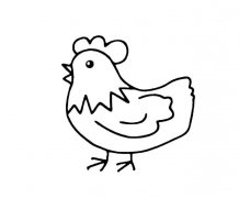 公鸡动物简笔画图片