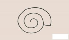 海螺简笔画的画法步骤图解教程