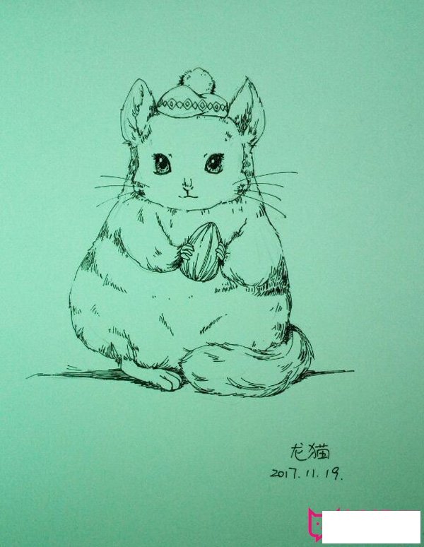 小动物简笔画图片，呆萌的龙猫简笔画