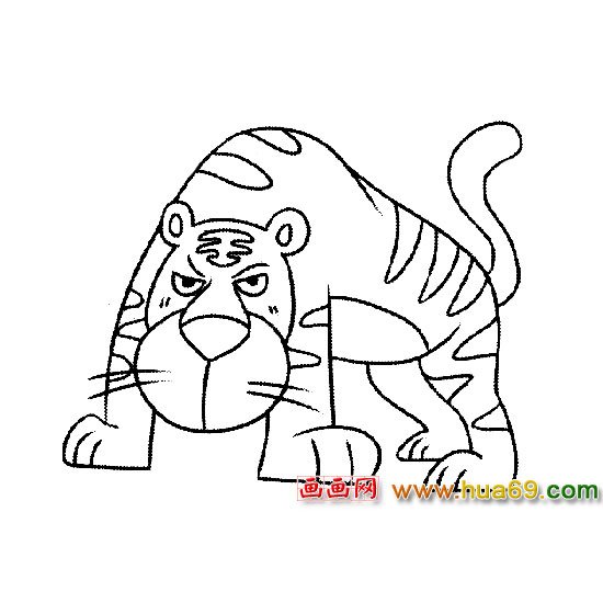 简笔画：凶猛的老虎2
