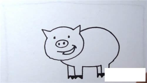 小猪简笔画的画法步骤图解