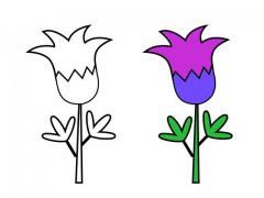 10种不同花朵简笔画 抽点时间陪孩子一