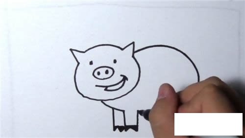 小猪简笔画的画法步骤图解