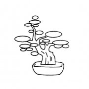 简单的盆景小树画法