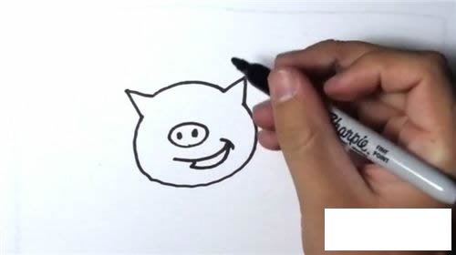 小猪简笔画