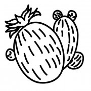 仙人球植物简笔画步骤图片大全