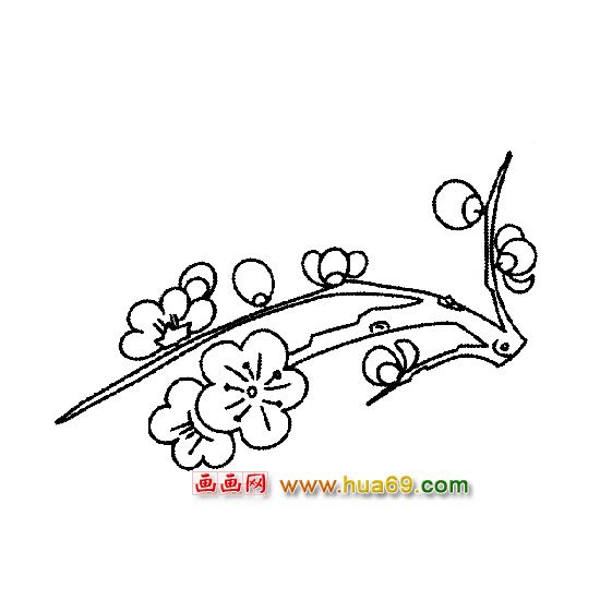 美丽的梅花-花卉简笔画