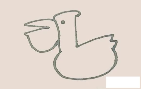 鹈鹕简笔画步骤图