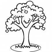 苹果树植物简笔画步骤图片大全二