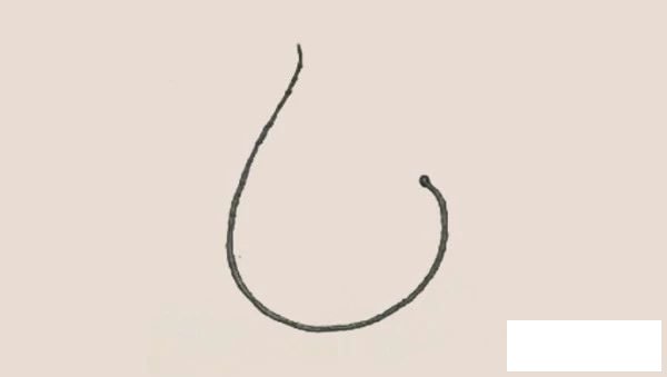 鲶鱼简笔画图片