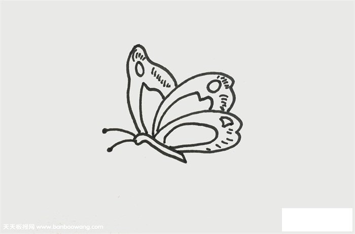 一笔一画的蝴蝶画法