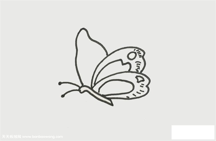 一笔一画的蝴蝶画法
