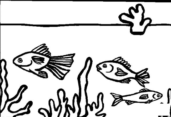 鱼缸里的鱼简笔画图片