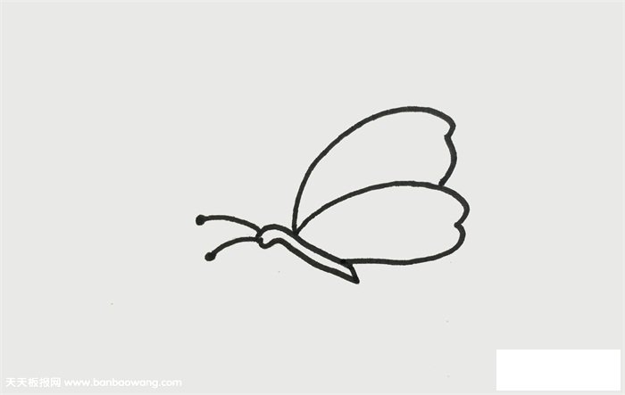 一笔一画的蝴蝶画法