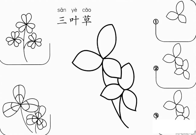 三叶草简笔画图片