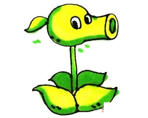 豌豆射手怎么画可爱 豌豆简笔画图片