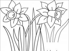 两棵牵牛花简笔画