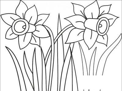 两棵牵牛花简笔画