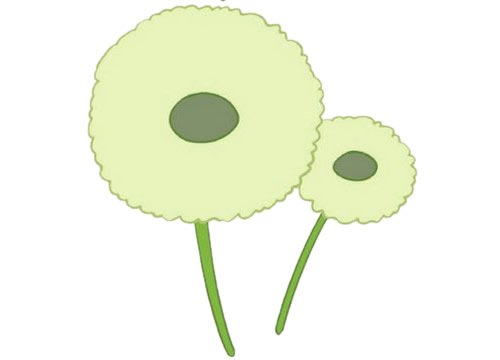 蒲公英简笔画图片