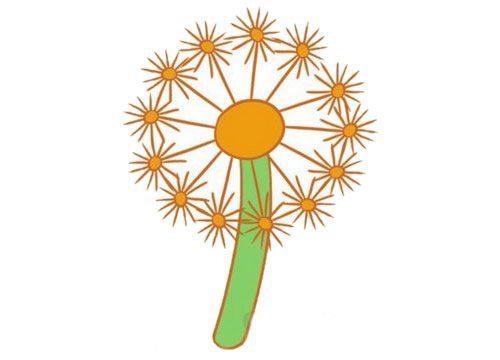 蒲公英简笔画图片