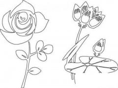 美丽的荷花简笔画