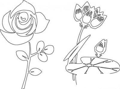 美丽的荷花简笔画