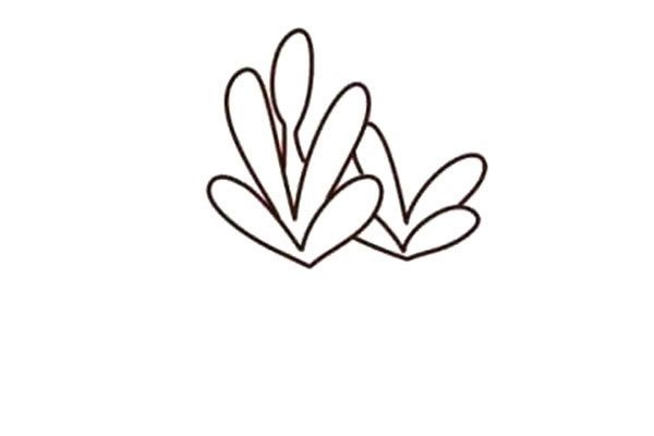 多肉植物简笔画